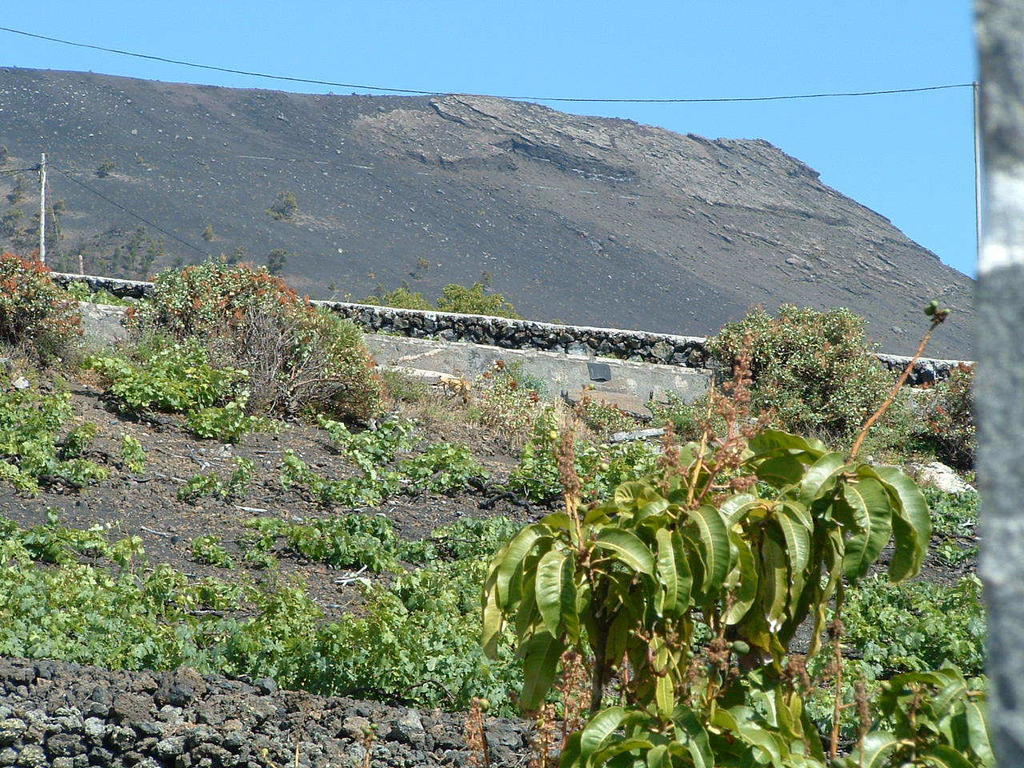 Casa Las Las Vinas Fuencaliente de la Palma Exterior photo