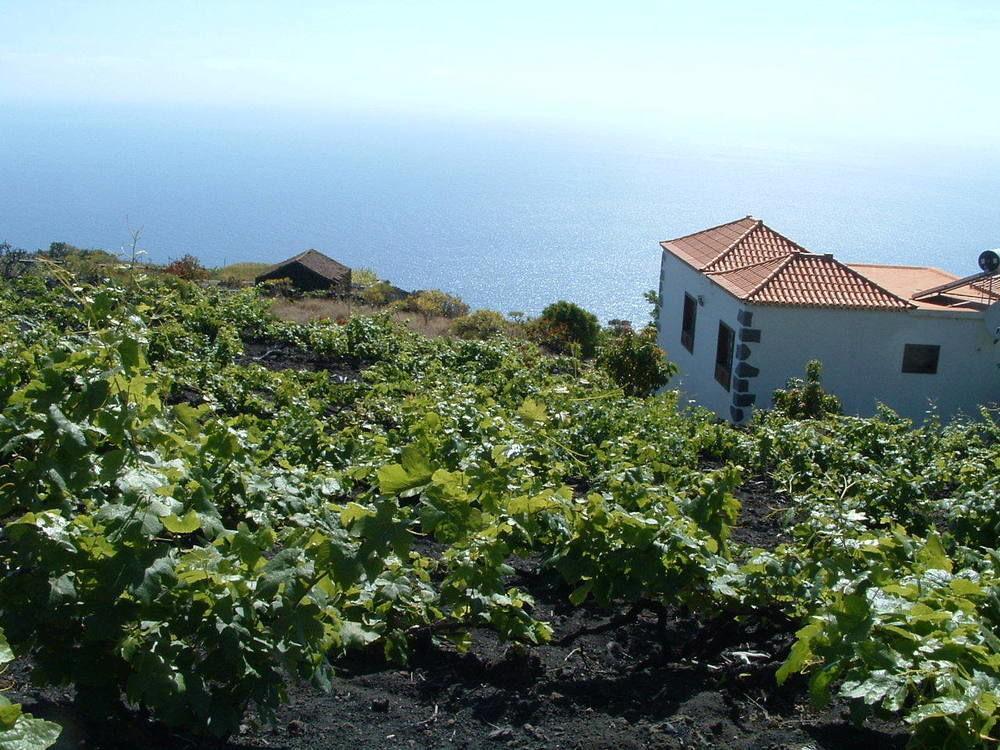 Casa Las Las Vinas Fuencaliente de la Palma Exterior photo